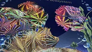 Línea de Cold Foil Holográfico por Serigrafía